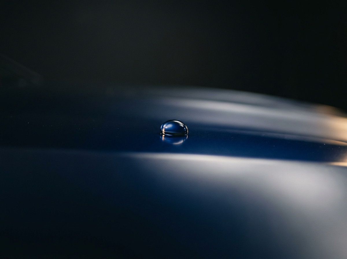 A single water bead resting on freshly sealed paintwork